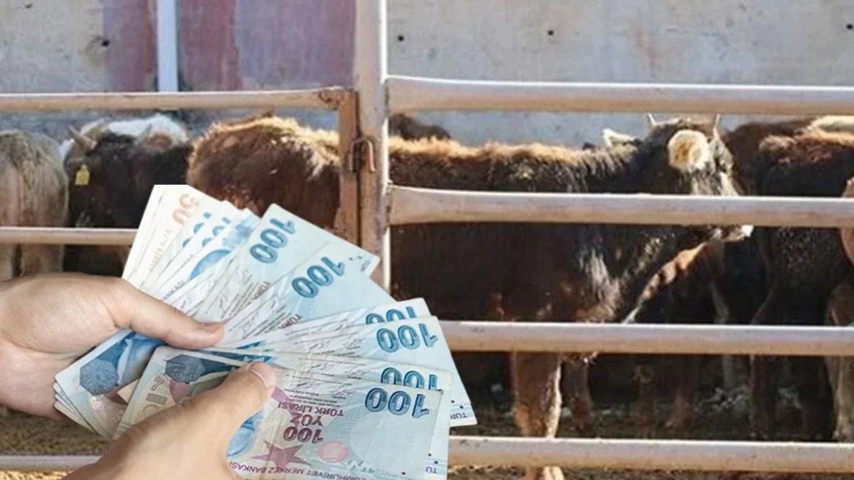 Tarım ve Hayvancılıkta 1 Milyon Liralık Faizsiz Dönem: Ziraat Bankasından Üreticiye Dev Finansman Müjdesi